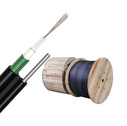 Gambar 8 Kabel Serat Optik 12 Inti Gyxtc8a/S Kabel Serat Optik