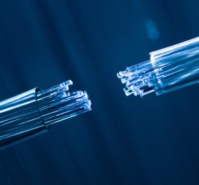Kabel Drop FTTH Indoor Modal Tunggal 1-12 Inti untuk Koneksi Tanpa Sambungan